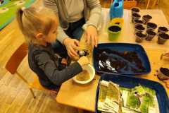 IMG-20240313-WA0006