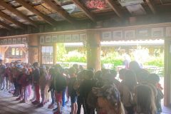 IMG-20250601-WA0017