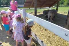 IMG-20240521-WA0041