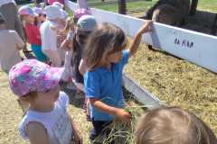 IMG-20240521-WA0046