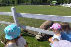 IMG-20240521-WA0052