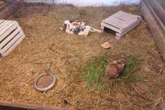 IMG-20240521-WA0060