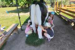 IMG-20240521-WA0084