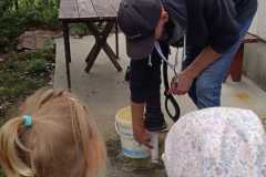 IMG-20250918-WA0018