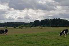 IMG-20250918-WA0021