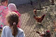IMG-20250918-WA0023