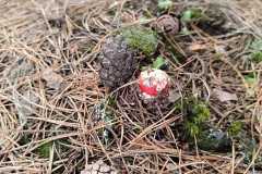IMG-20250918-WA0026