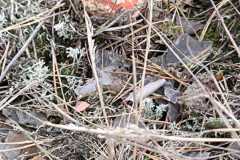 IMG-20250918-WA0029