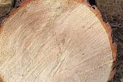 IMG-20250918-WA0030