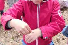 IMG-20250918-WA0032