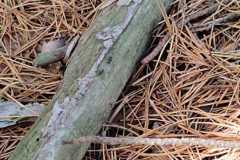 IMG-20250918-WA0033