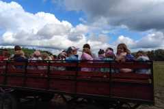 IMG-20250918-WA0044