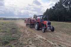 IMG-20250918-WA0045